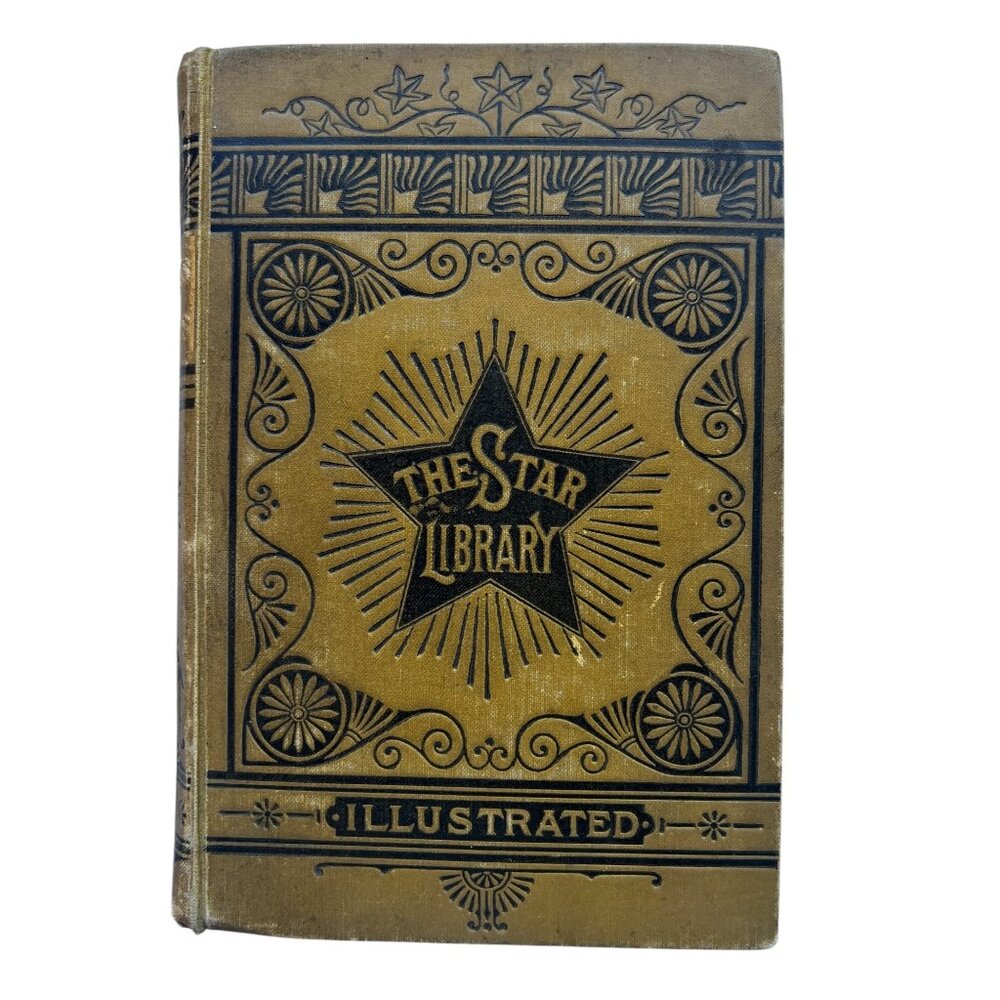 The Star Library Pilgrim’s Progress John Bunyan 1885 Book Antique